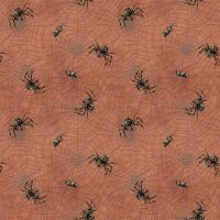 ttCARA-CD4817 ORANGE